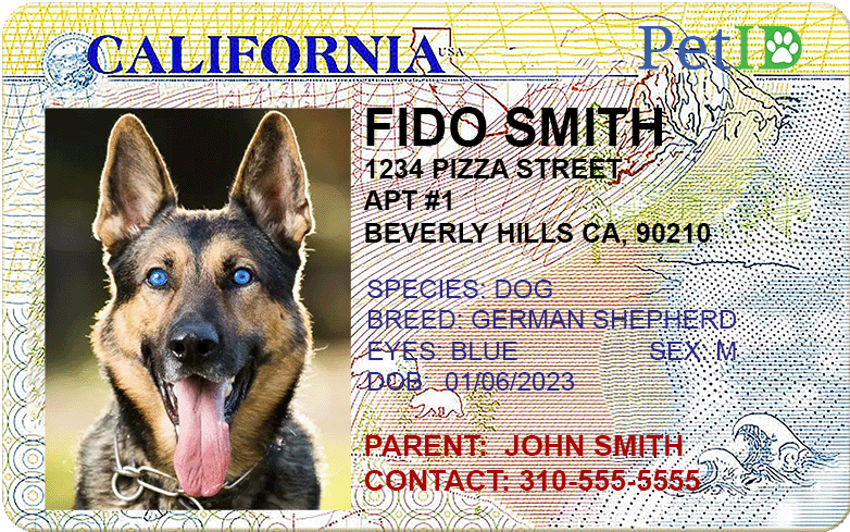 PetID from petid.fun in California