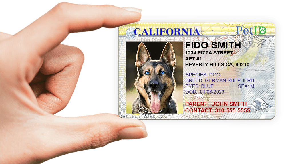 PET ID